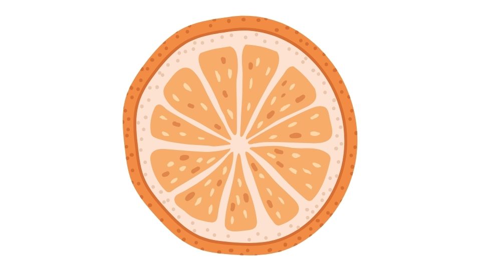 orange illustration