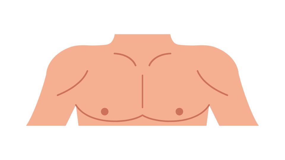 cartoon the chest