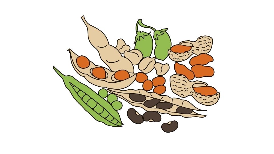 eating healthy food
