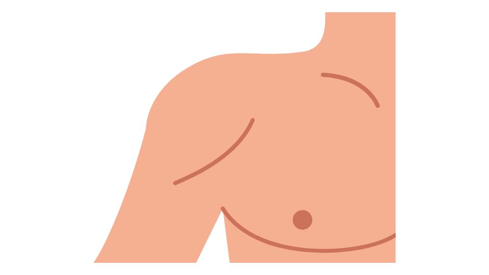 cartoon the chest
