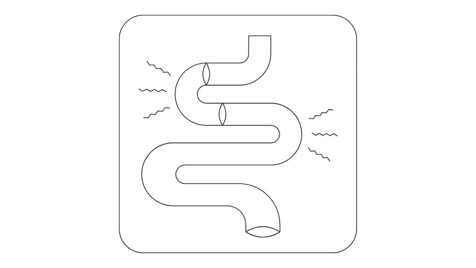 intestines