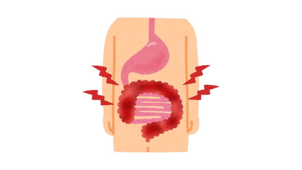 intestines