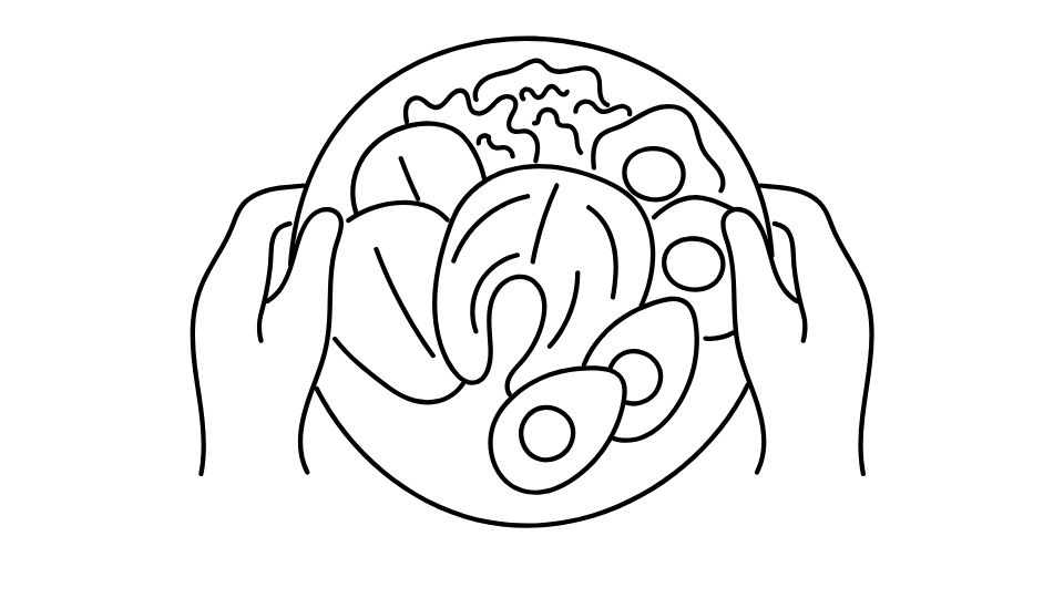 line of illustration