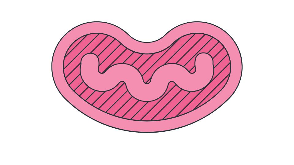 metabolic