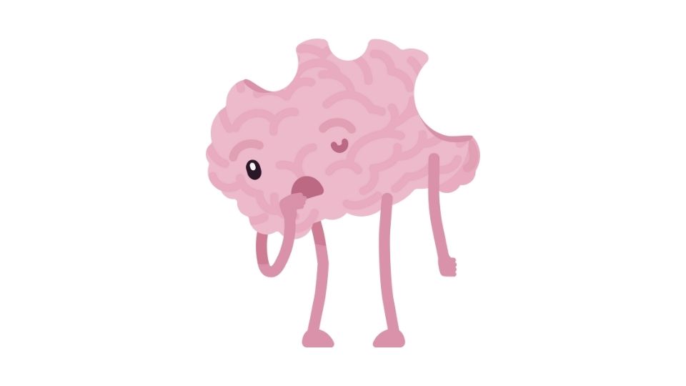 the illustration brain