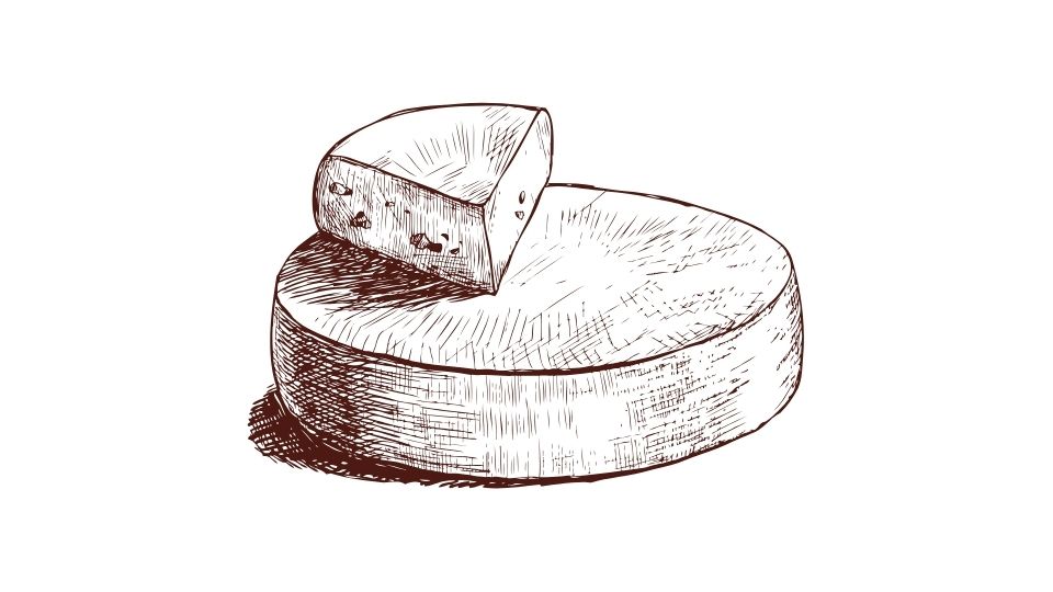Cheese illustration