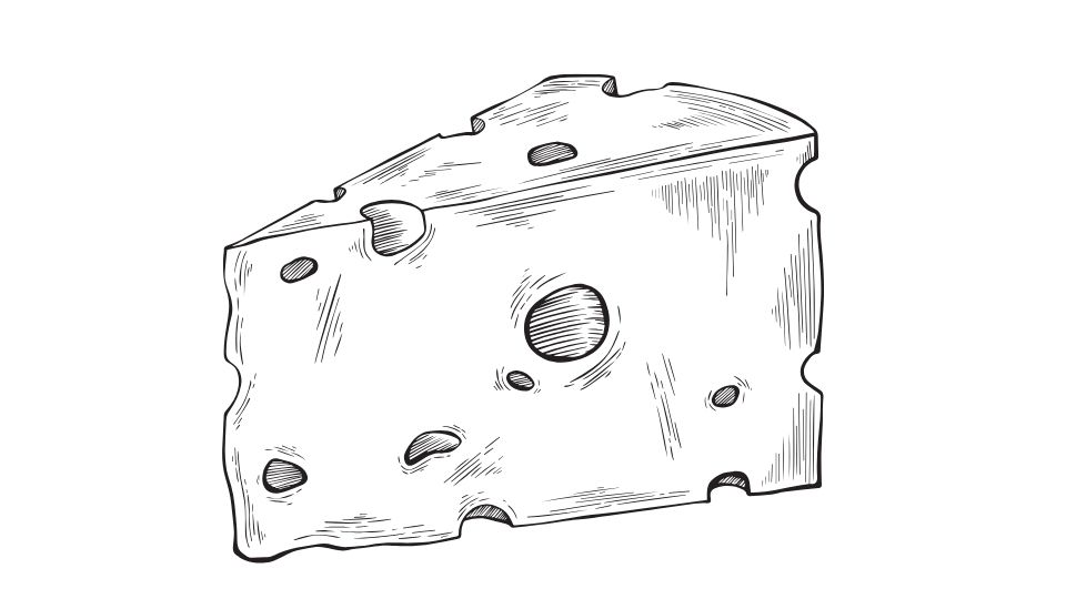 Cheese illustration