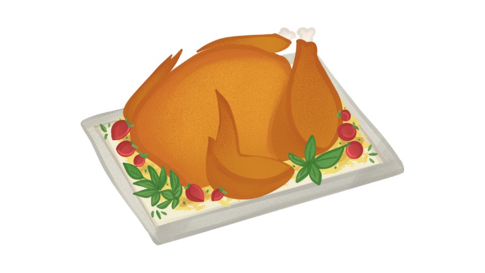 turkey breast