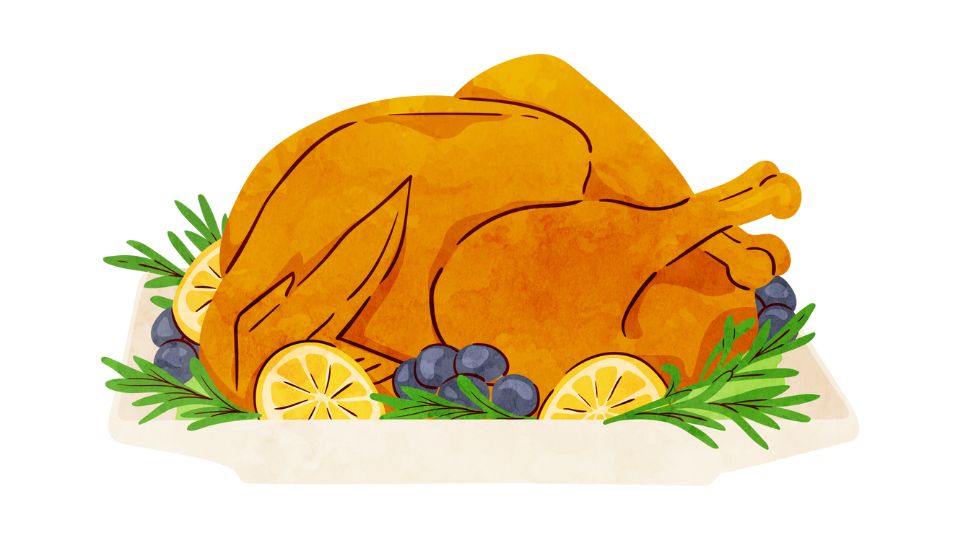 turkey breast