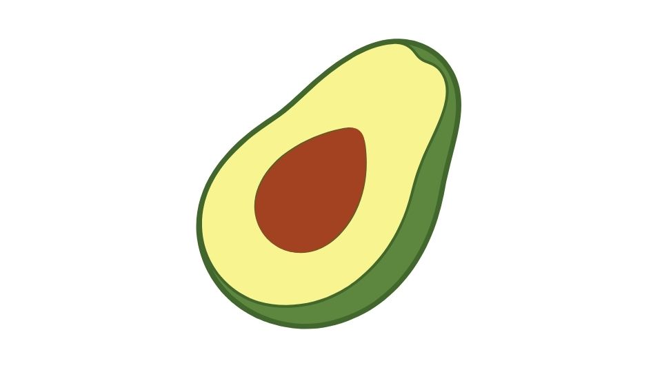 avocado illustration