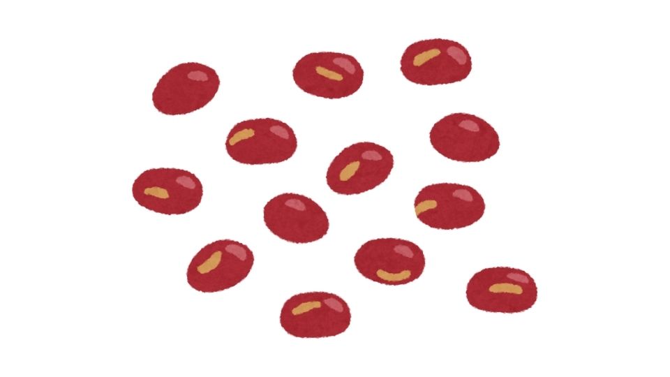 beans illustration
