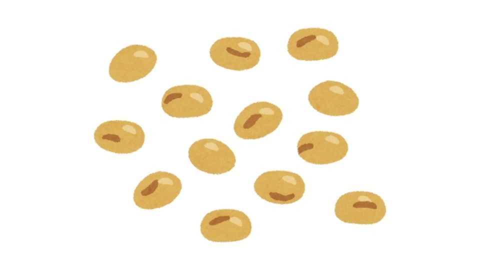 beans illustration