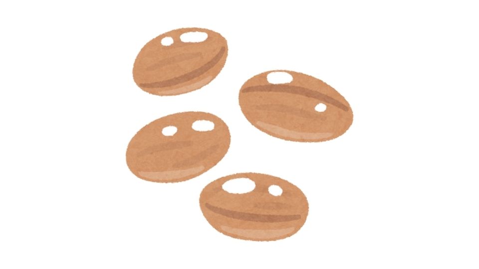 beans illustration