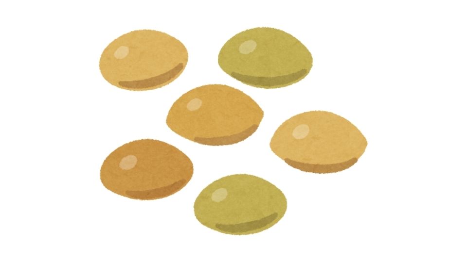 beans illustration
