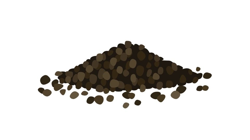 black beans