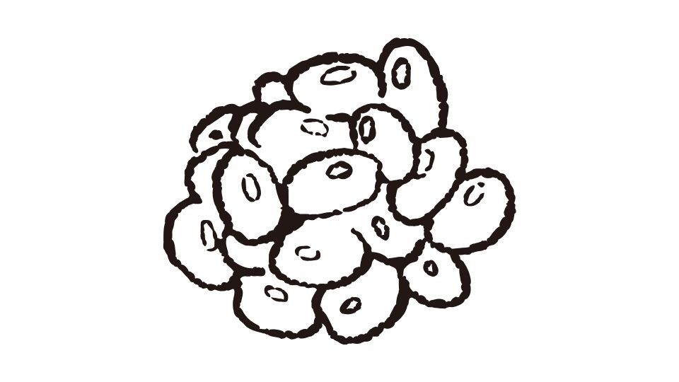 black beans