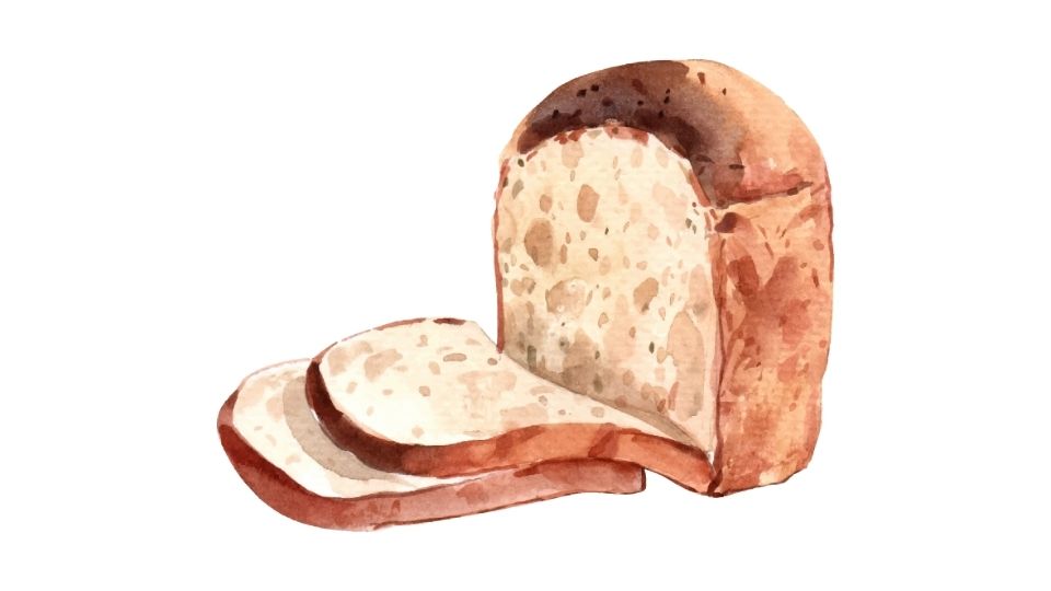 bread illustration