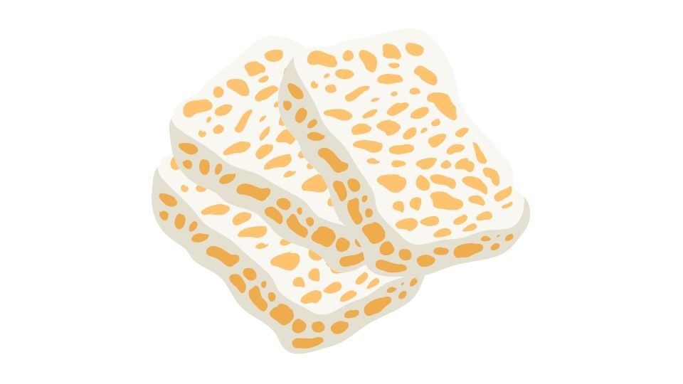 cartoon tempeh