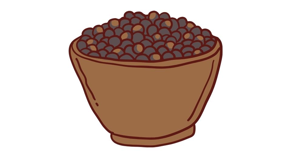 chia seed