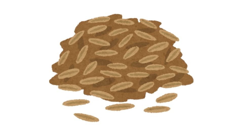 chia seed
