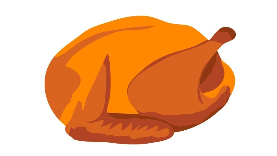 chicken illustration