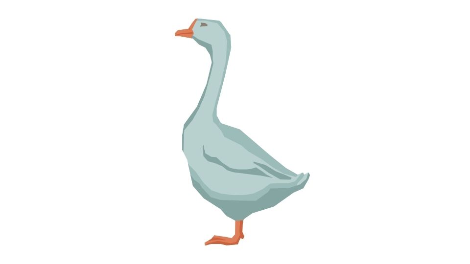 duck illustration
