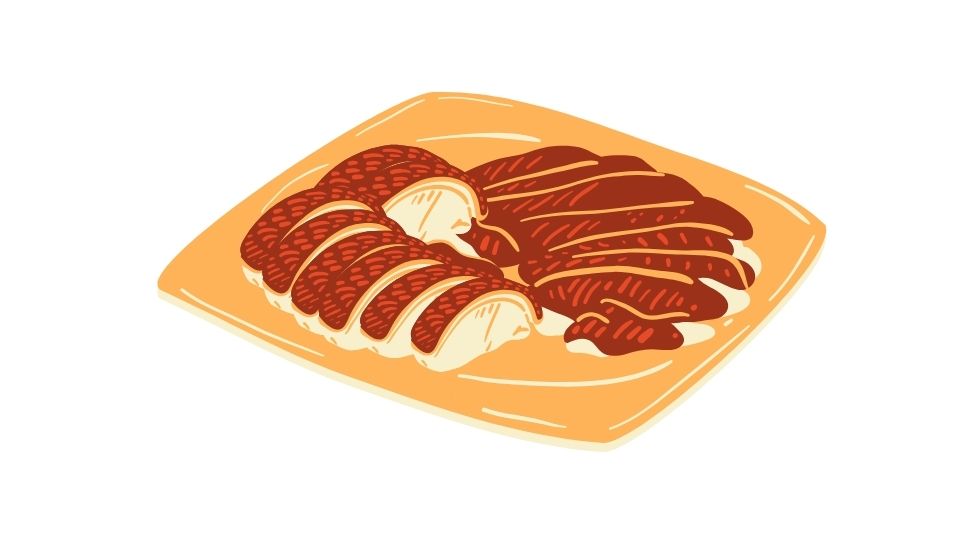 duck illustration