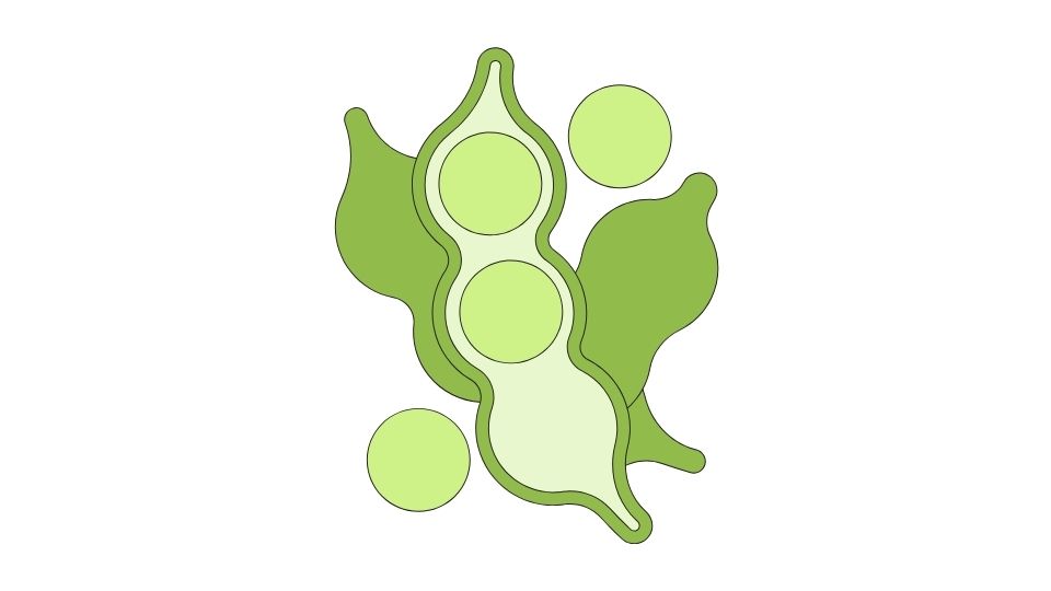 edamame illustration