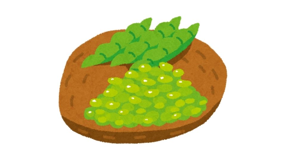 edamame illustration
