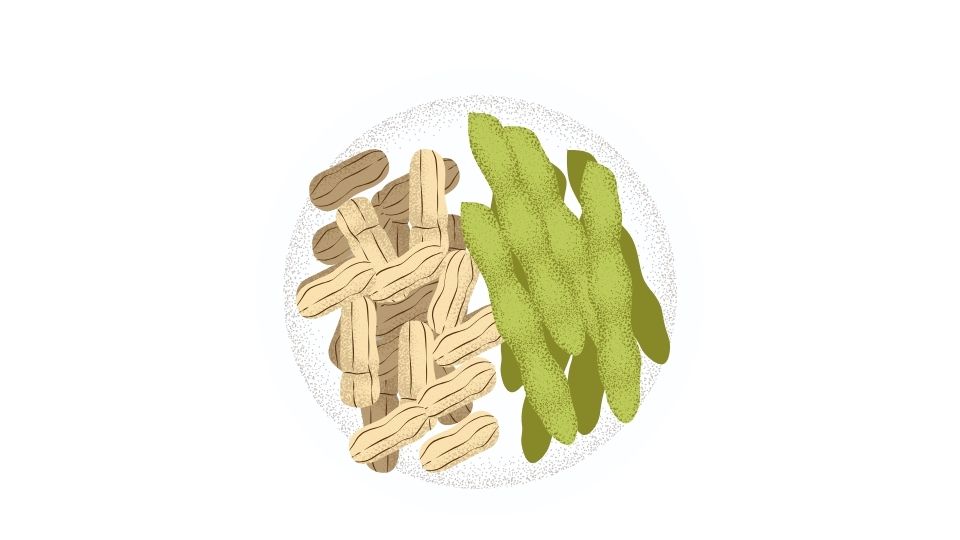 edamame illustration