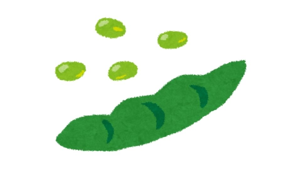 edamame illustration