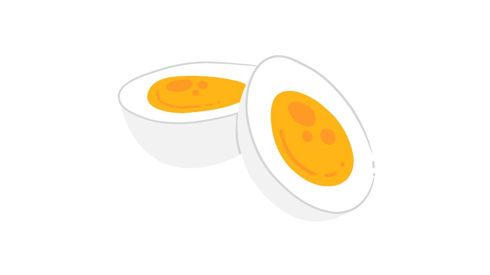 egg illustration