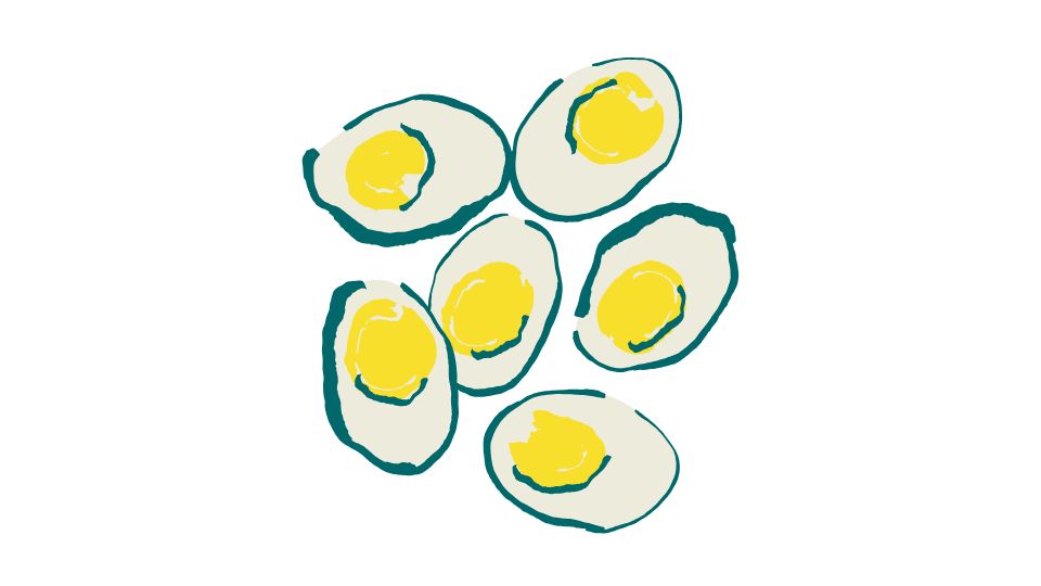 egg illustration