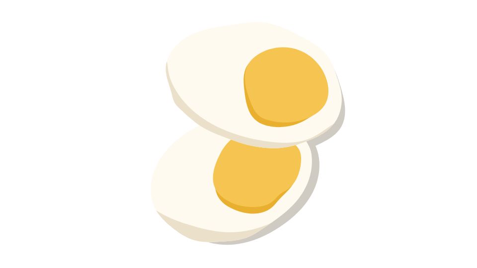 egg illustration