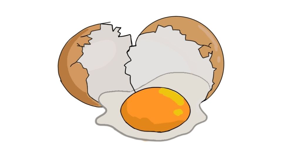 egg illustration