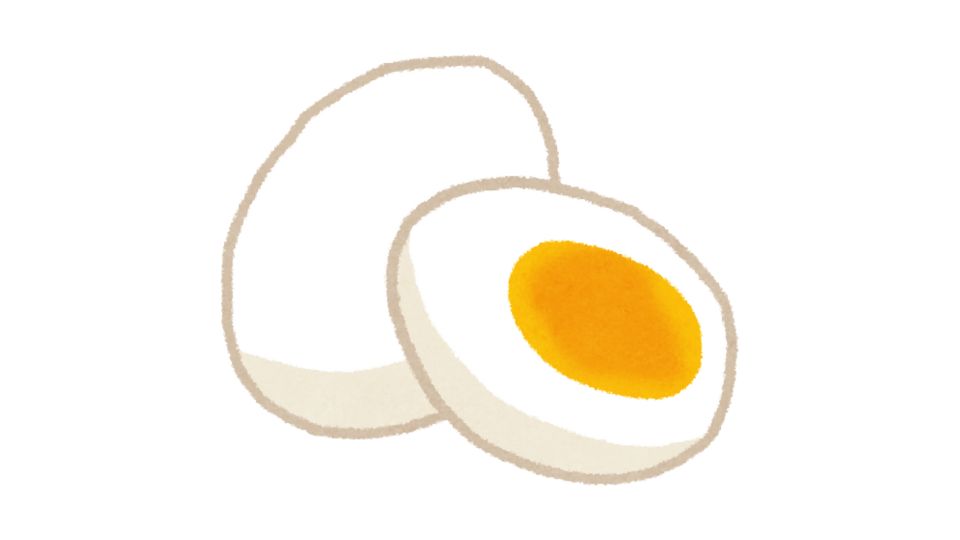 egg illustration