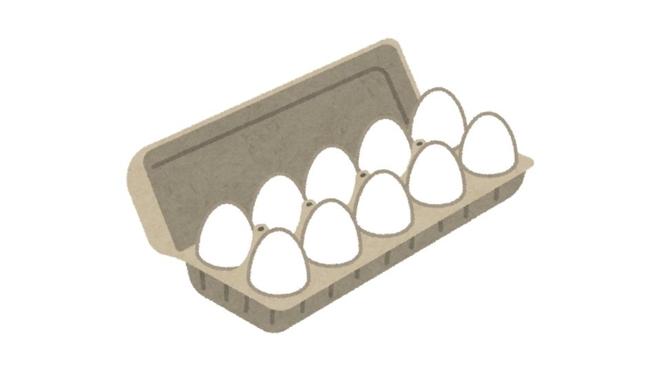 eggs illustration