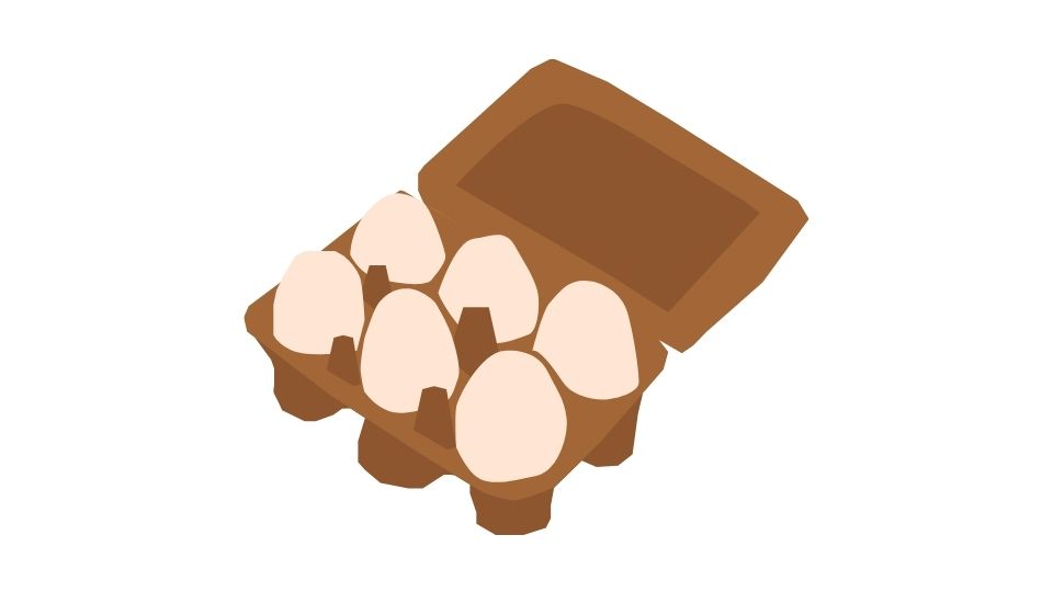 eggs illustration