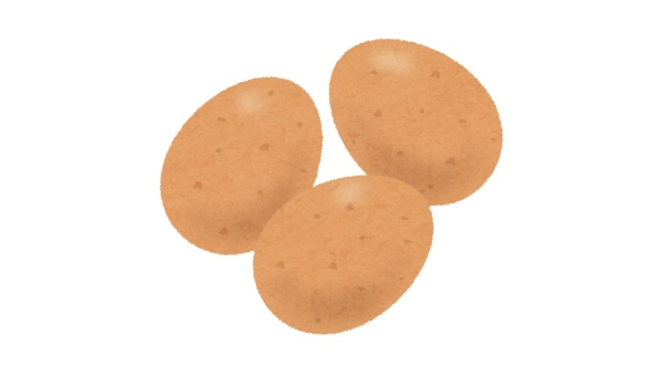 eggs illustration