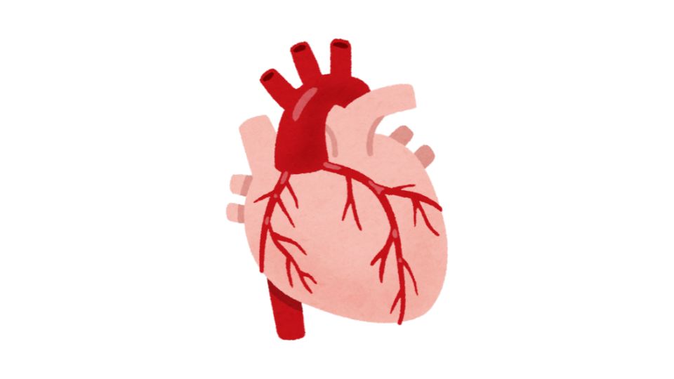 Heart Health and Meal Tracking: What Doctors Recommend