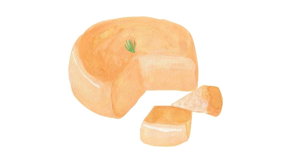 mozzarella