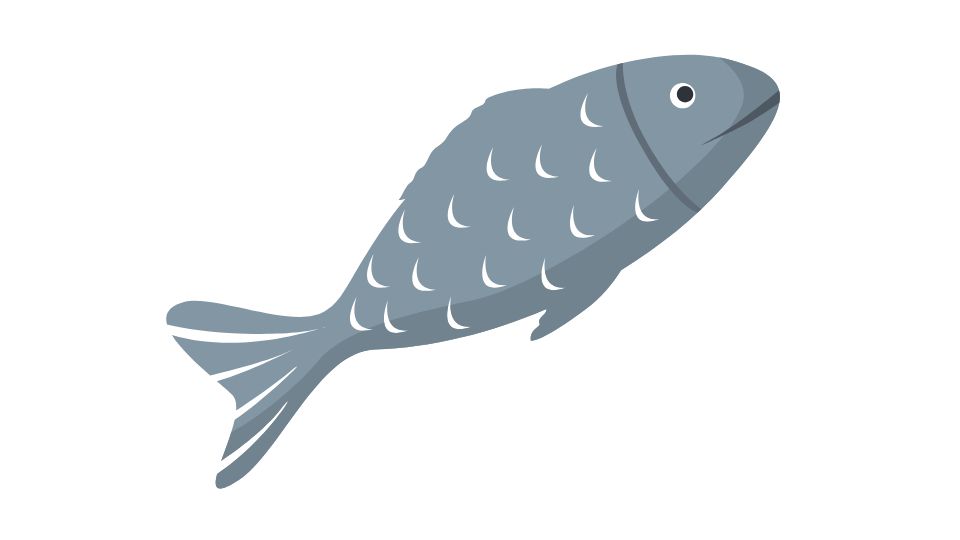 protein illustration