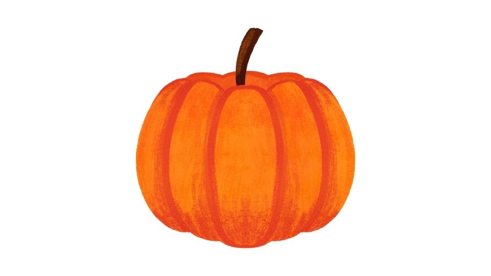 pumpkin illustration