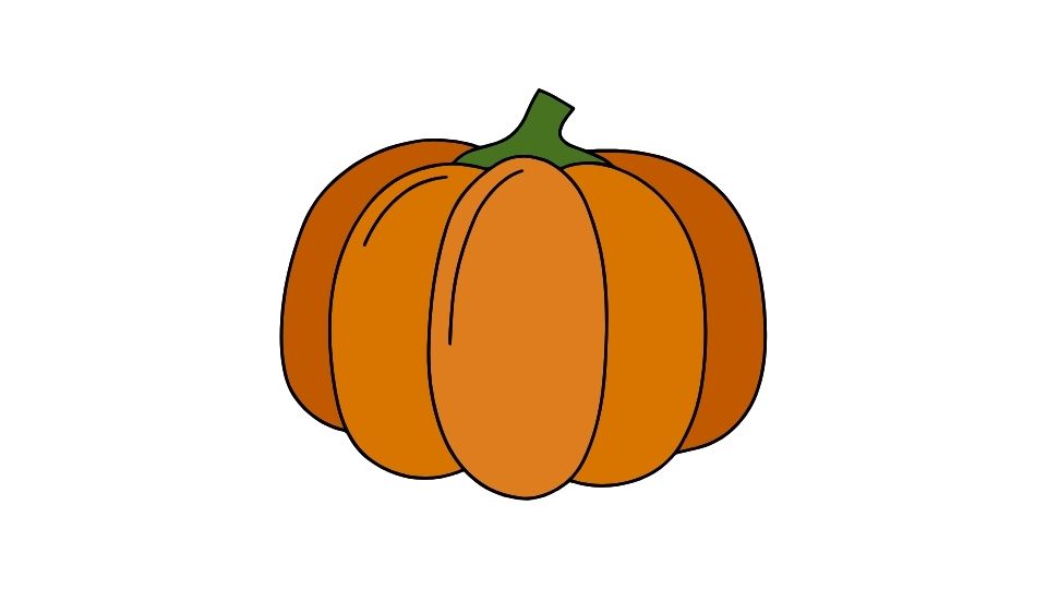 pumpkin illustration