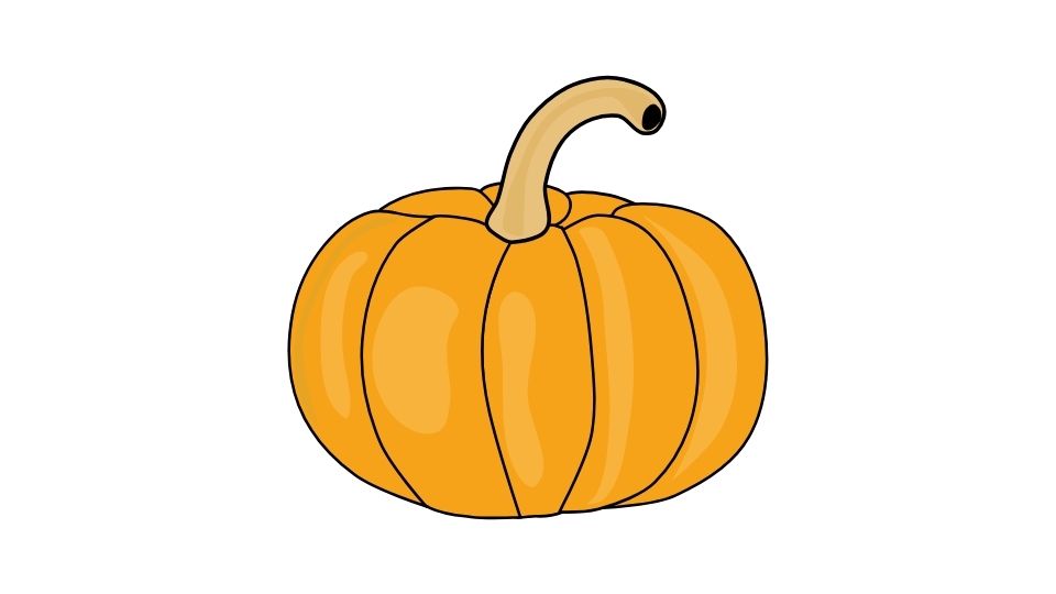 pumpkin illustration