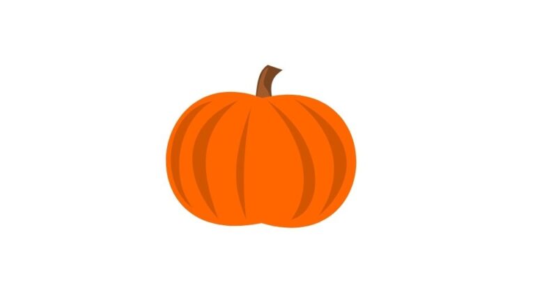 pumpkin illustration