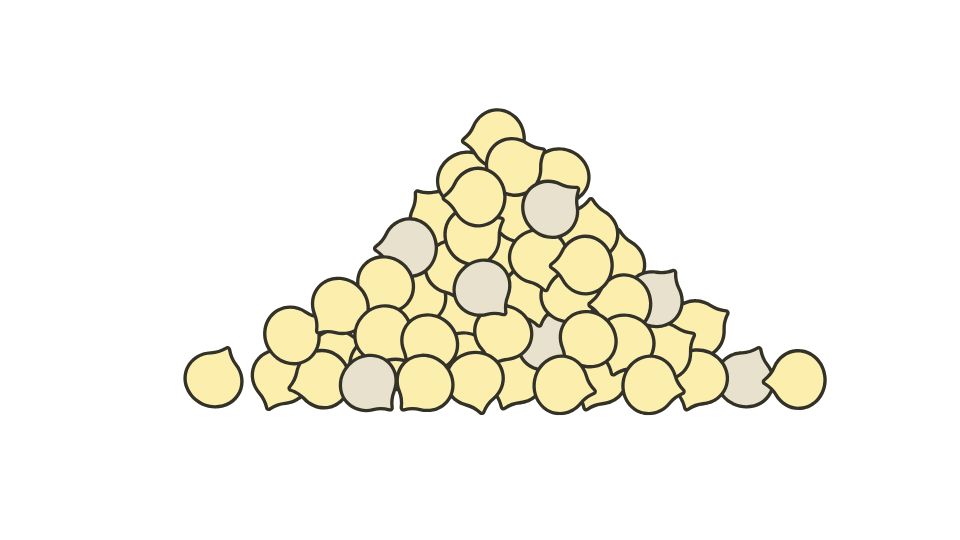 quinoa illustration