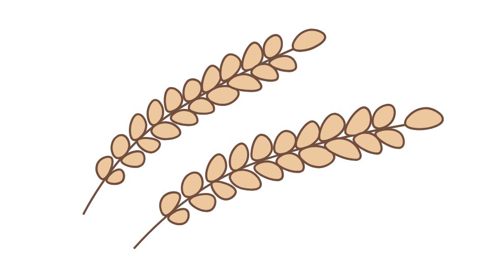 quinoa illustration