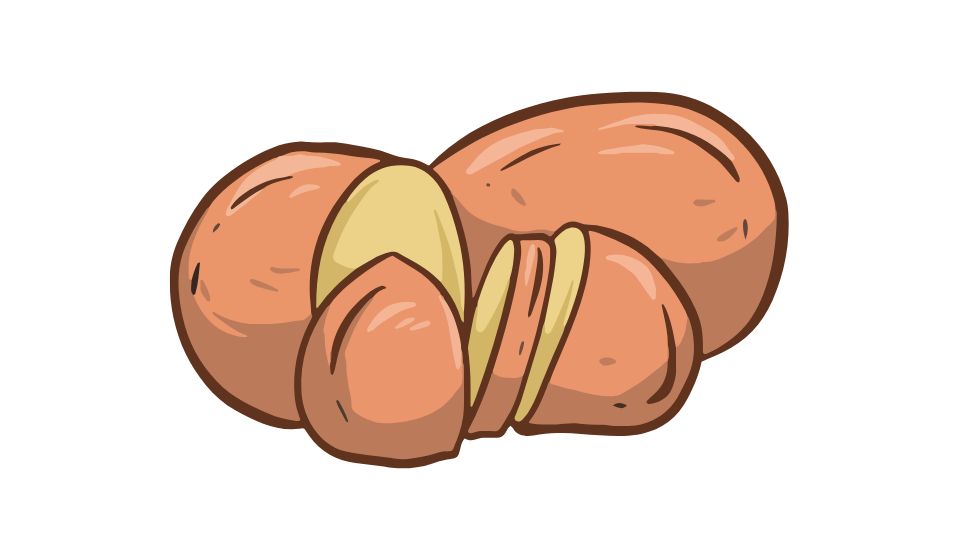 quinoa illustration