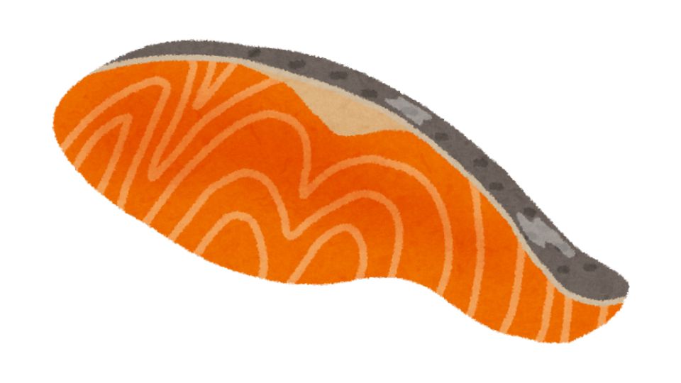 salmon illustration